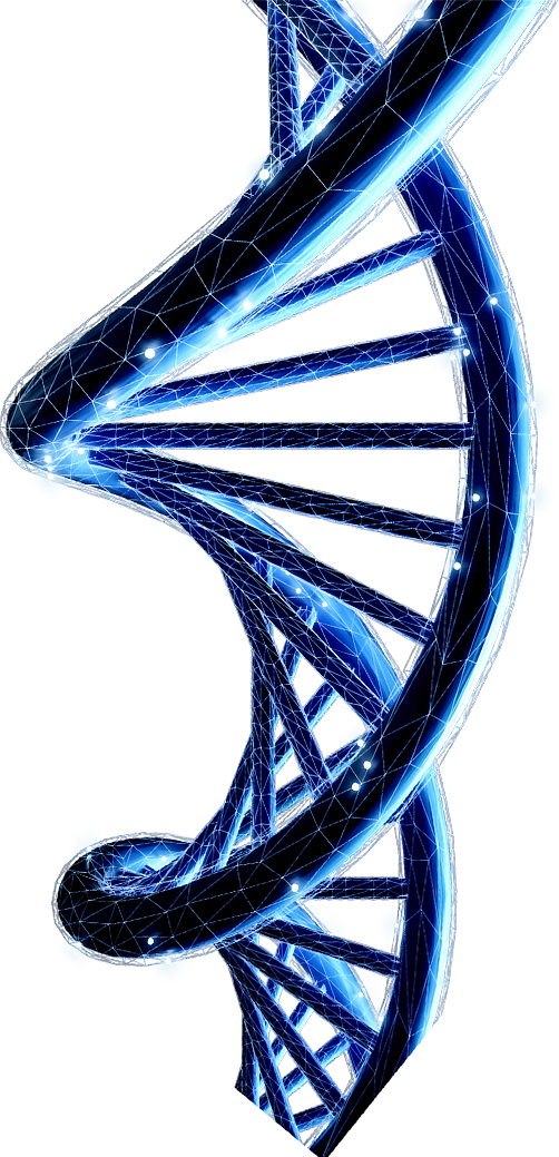 DNA装饰图
